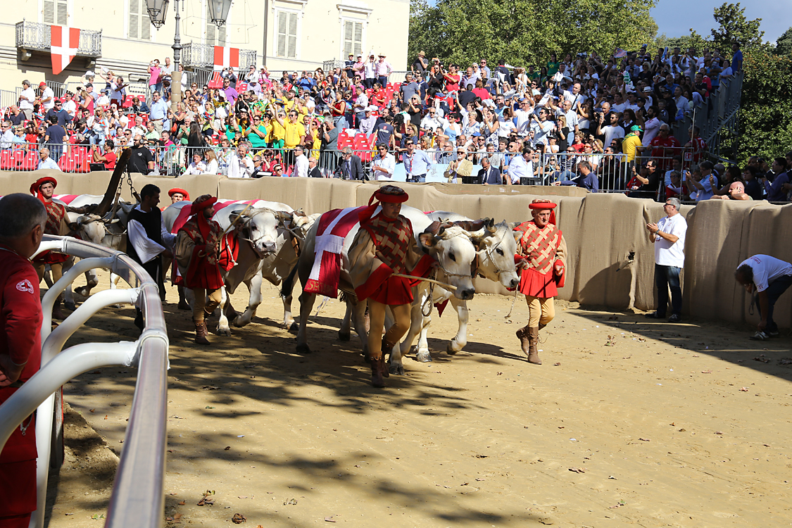 -520- CorteoStorico.jpg